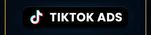 TikTok Ads 3